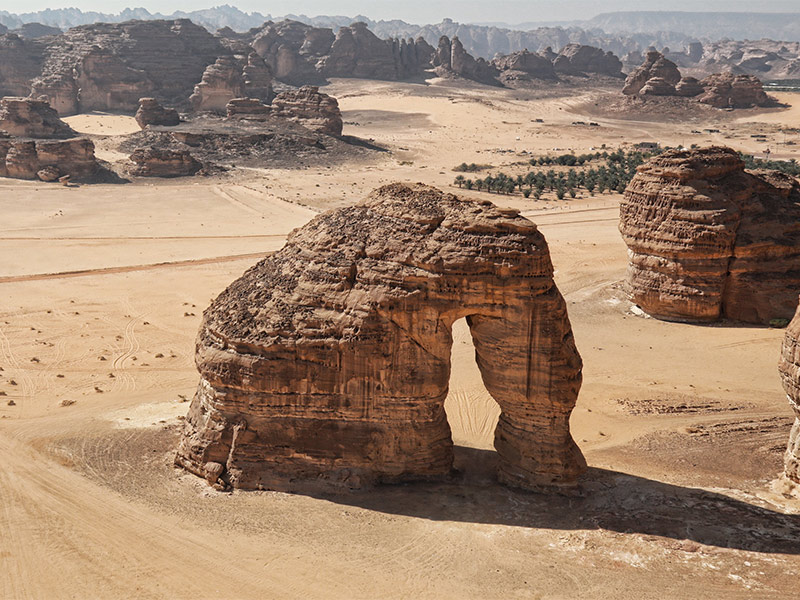 "العلا" السعودية تتألق في باريس